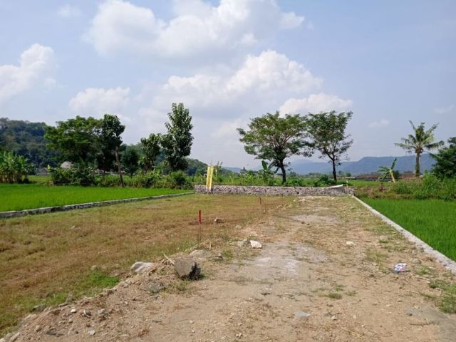 place photo 2