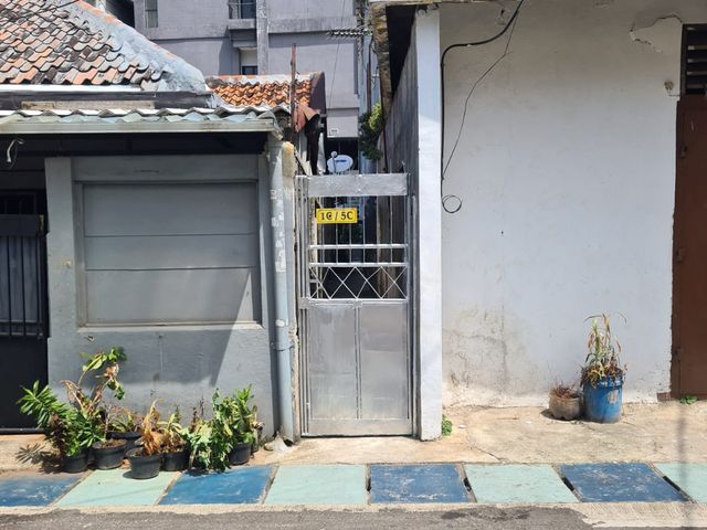 place photo 4