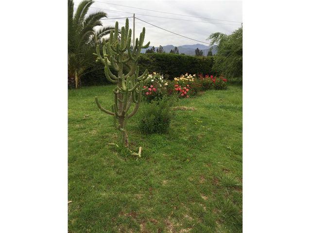 place photo 47