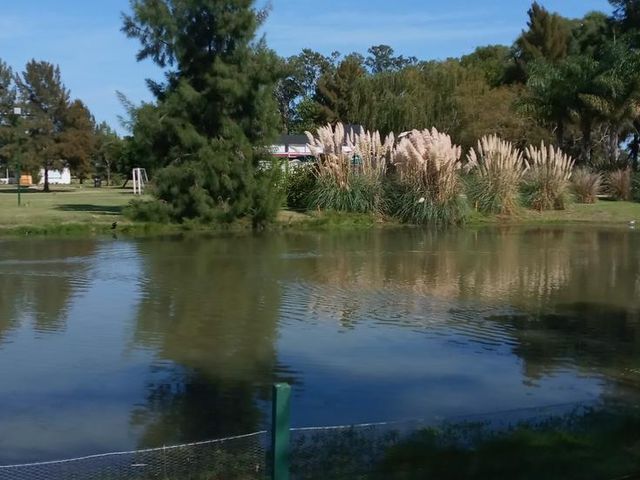 place photo 36