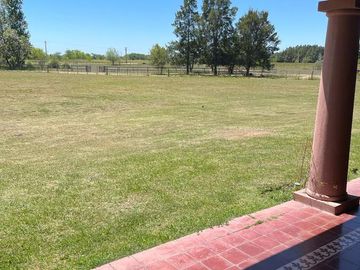 place photo 17