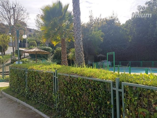 place photo 59