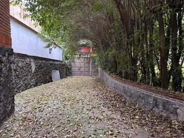 place photo 21