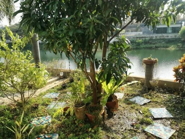 place photo 18