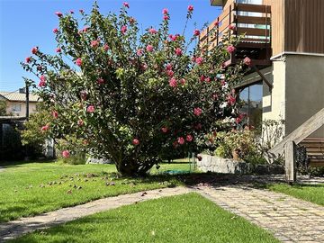 place photo 42