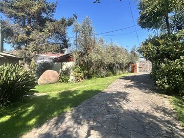 place photo 46