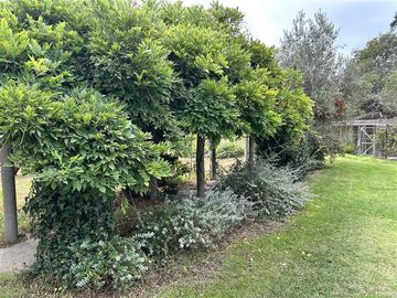 place photo 33