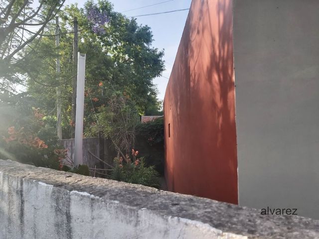 place photo 20