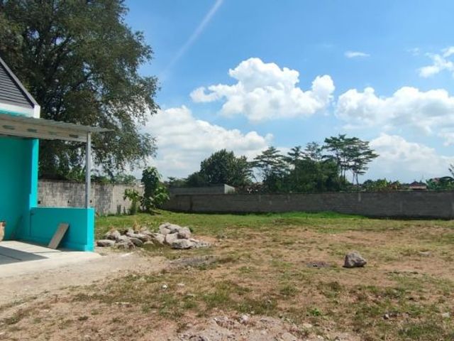 place photo 5