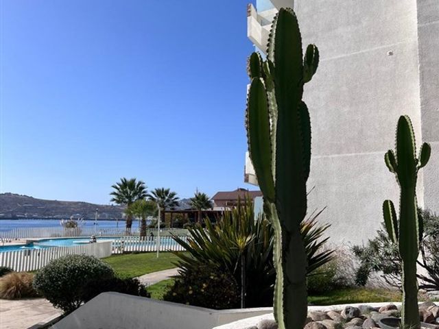 place photo 28