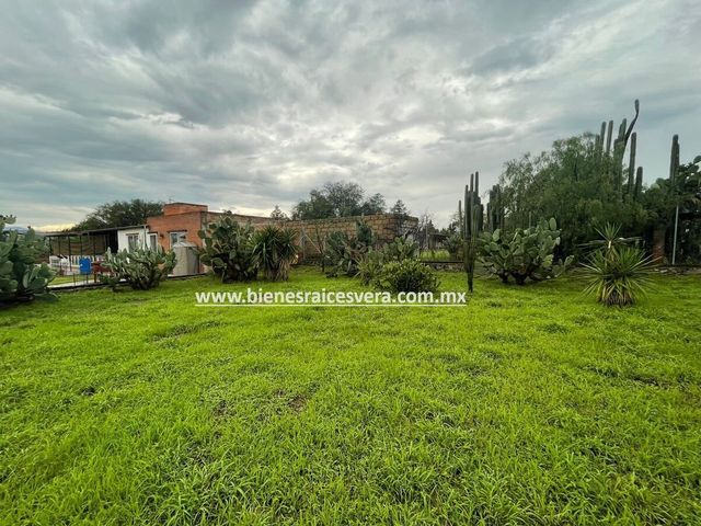 place photo 47
