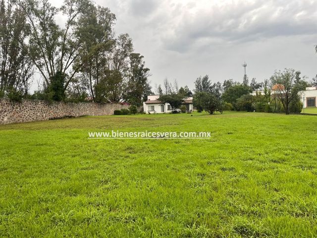 place photo 46