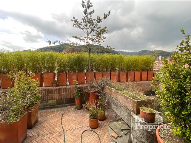 place photo 29
