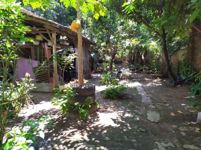 place photo 15