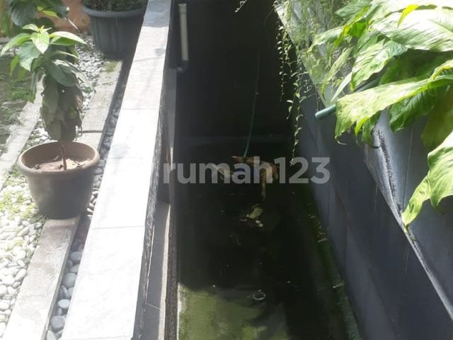 place photo 45