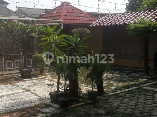 place photo 37