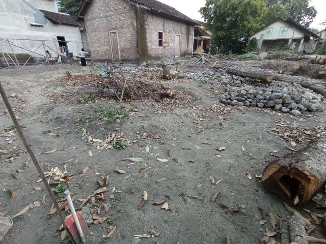 place photo 5