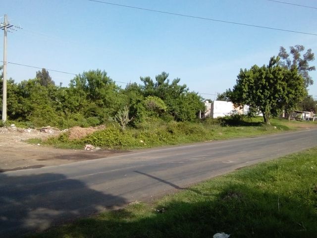 place photo 13