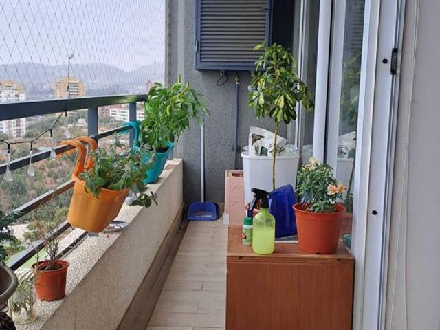 place photo 41