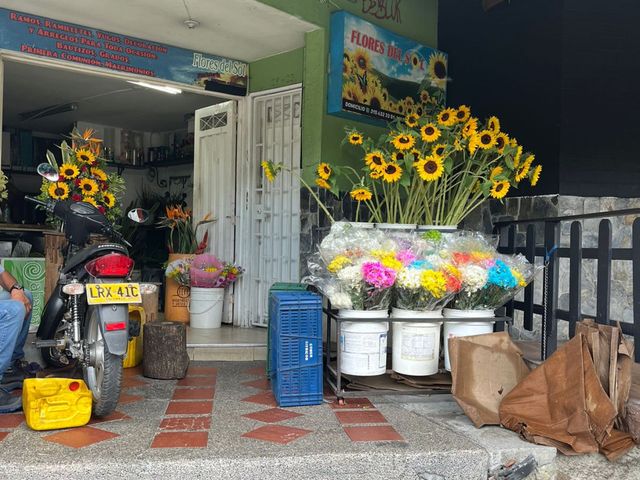 place photo 16