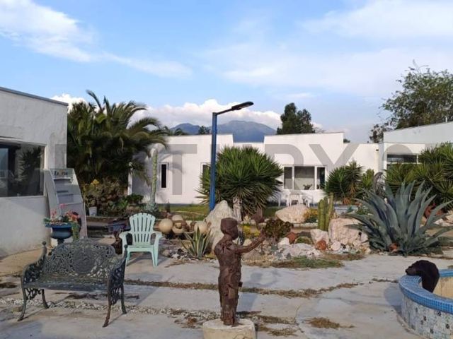 place photo 23