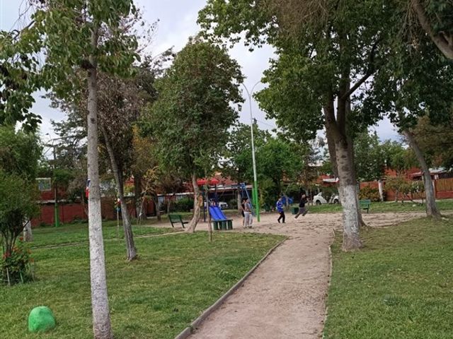 place photo 26