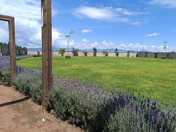 place photo 68