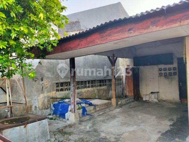place photo 13
