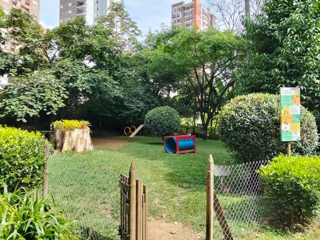 place photo 24