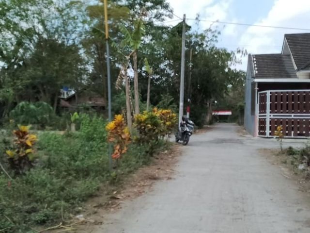 place photo 2