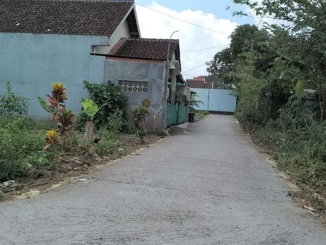 place photo 3