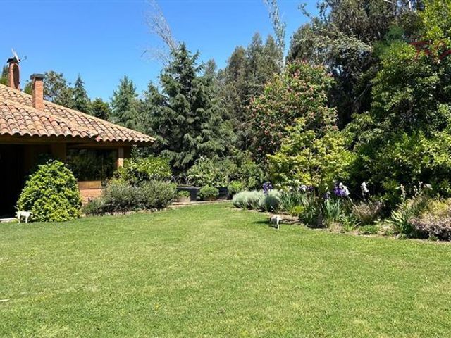 place photo 52