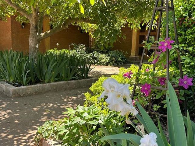 place photo 60
