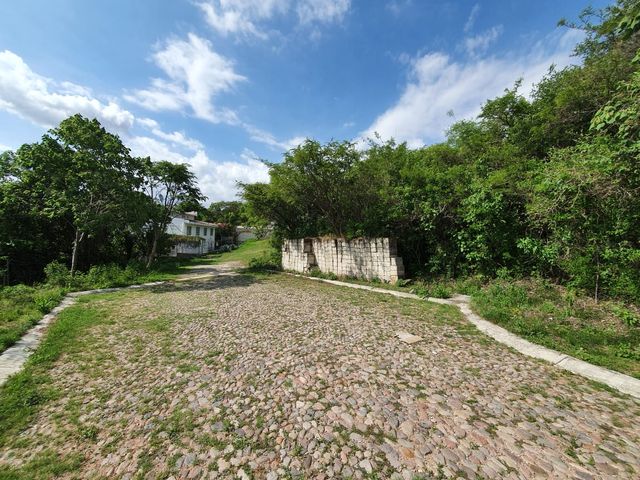 place photo 31