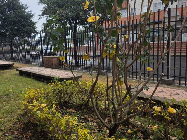 place photo 25