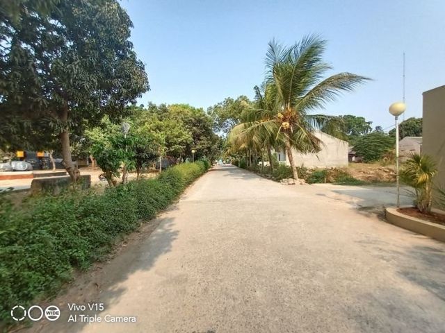 place photo 9