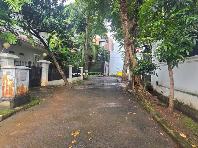 place photo 8