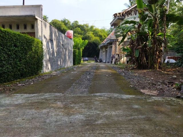 place photo 7