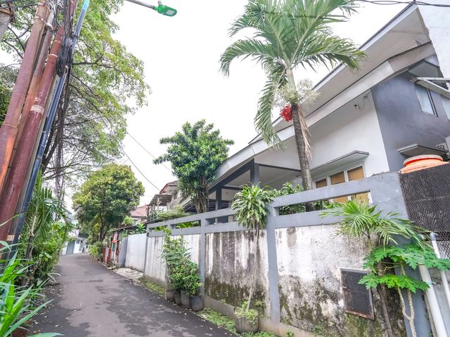 place photo 46