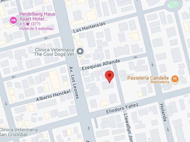 place photo 17