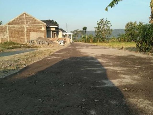 place photo 4