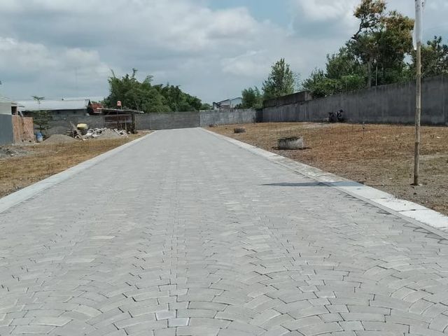 place photo 4