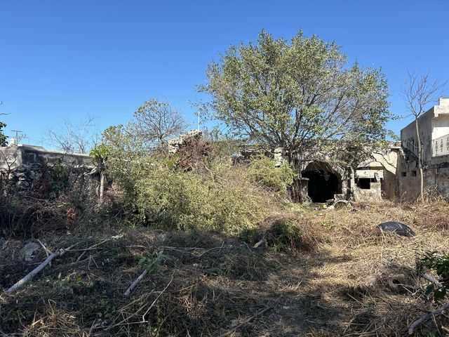 place photo 16