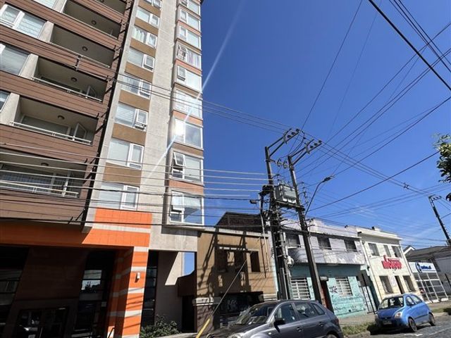 place photo 12