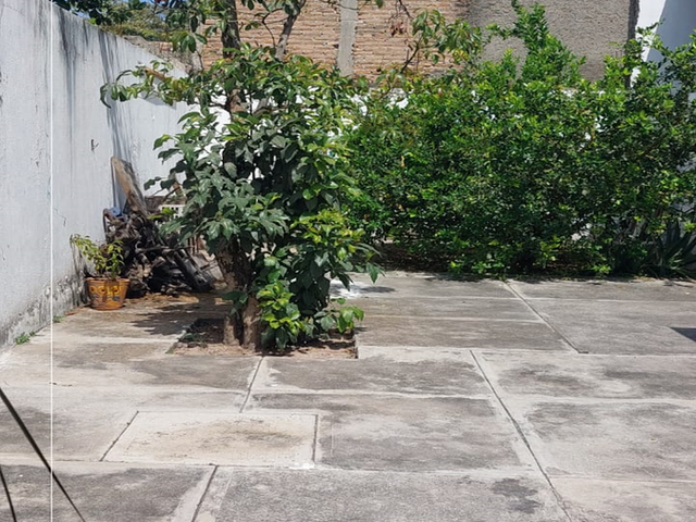place photo 17