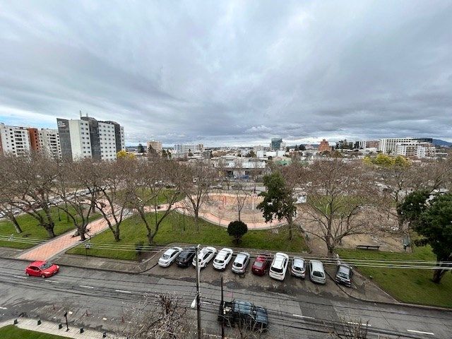 place photo 11