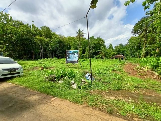 place photo 15