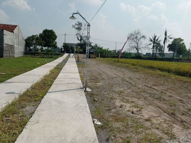 place photo 4