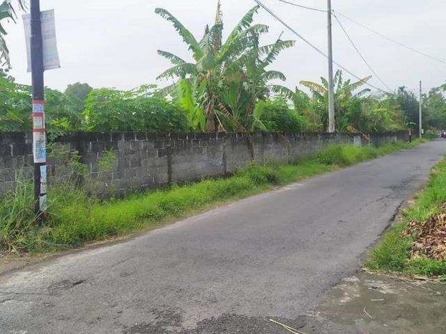place photo 7