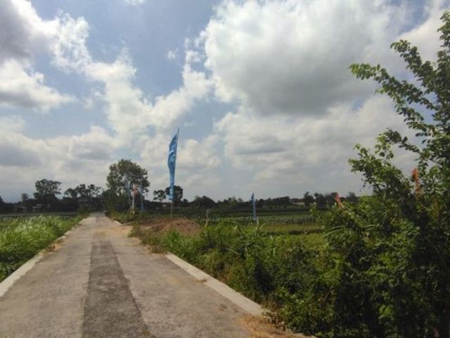 place photo 5